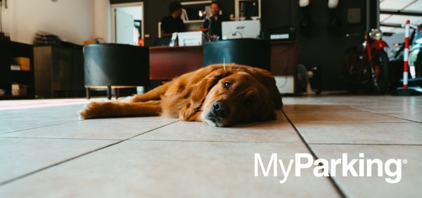 La Manovella Parking