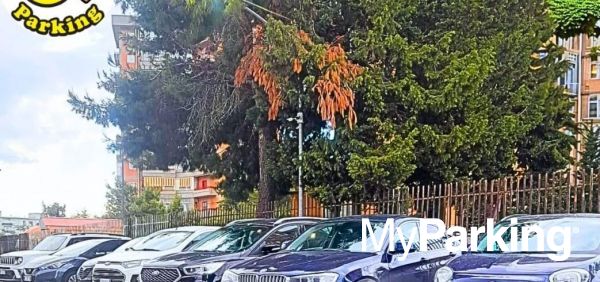 Campos Family Park Porto