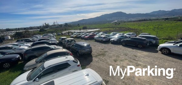 Paddy Parking