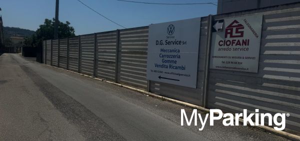 DG Service
