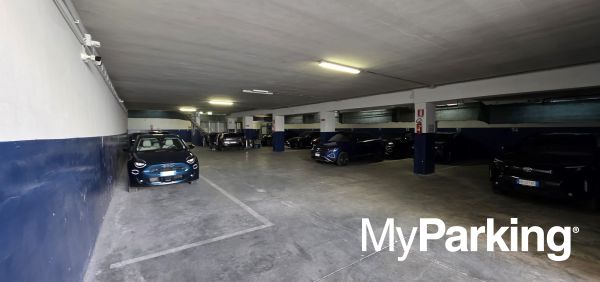Flycar Parking VIP
