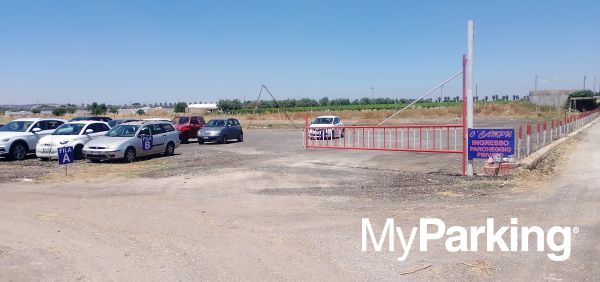 Multiservice O Campo