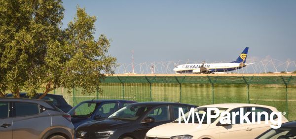 Parkmania