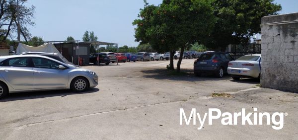 All In Solution Park